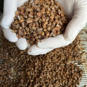 Perga ( Arı Ekmeği )